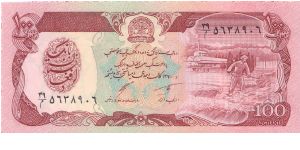 1979 DA AFGHANISTAN BANK 100 AFGHANIS

P58 Banknote