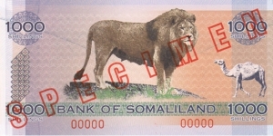 Somaliland 1000 Shillings Banknote