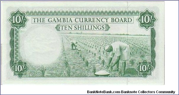 Banknote from Gambia year 1964