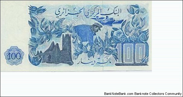 Banknote from Algeria year 1981
