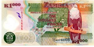 Zambia Polymer

1000k 2004
Multi
Governor C  M Fundanga
Front Value above see through dove & Coat of Arms, Jacaranda tree, Fish Eagle 
Rev Aardvak’s head, Sorghum farming, Chain Breaking Statue Banknote