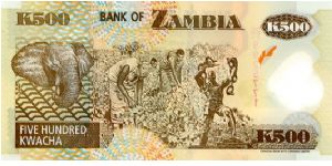 Zambia Polymer
500k 2004
Multi
Governor C  M Fundanga
Front Value above see through dove & Coat of Arms,Baobab tree, Fish Eagle
Rev Elephant, Cotton picking, Chain Breaking Statue Banknote
