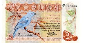 21/2 Gulden
Brown/Blue
Blue-gray Tanager-Thraupis Episcopus sitting on a branch
Green lizard & Afobaka Dam
Security thread Banknote
