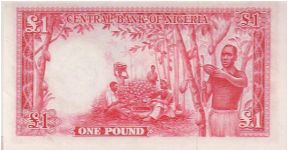 Banknote from Nigeria