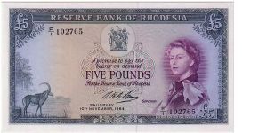 RESERVE BANK OF RHODESIA=
 5 POUNDS
A SCARCE NOTE Banknote