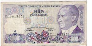 1000 LIRA

C11 815956

P # 196 Banknote
