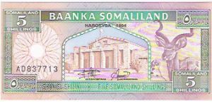 5 SHILLINGS

SOMALILAND

AD 837713

P # 1 Banknote