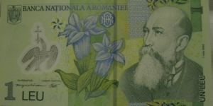 1 leu UNC dated 2005 Banknote