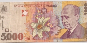5000 Lei Banknote