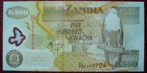 Bank of Zambia |
500 Kwacha |

Obverse: Baobab tree and African Fish Eagle and Coat of Arms |
Reverse: African elephant, Cotton picking and Freedom Statue 