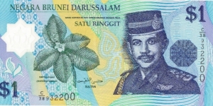 Sultan Hassanal Bolkiah, Reverse Rainforest Waterfall Size 41 x 69 mm Material Polymer Color Blue Banknote