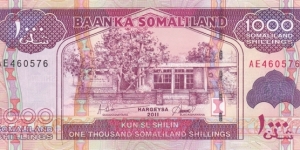 Somaliland PNew (1000 shillings 2011) Banknote