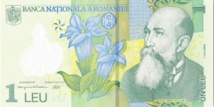 1 leu Banknote