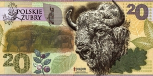 Test Note PWPW - Polish Bisons Banknote