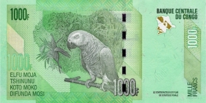 Banknote from Congo