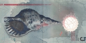 Banknote from Maldives