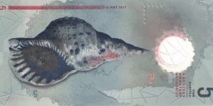 Banknote from Maldives