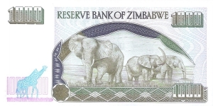 Banknote from Zimbabwe