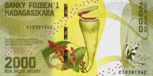 Banknote from Madagascar
