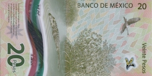 Banknote from Mexico