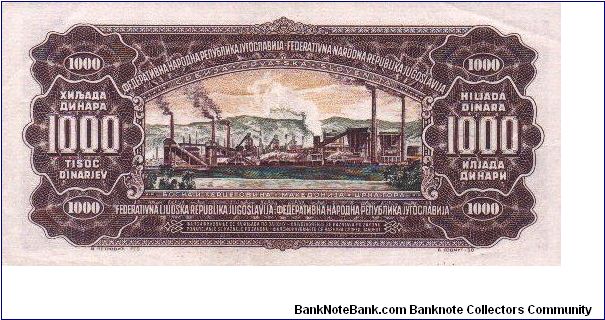 Banknote from Yugoslavia year 1955