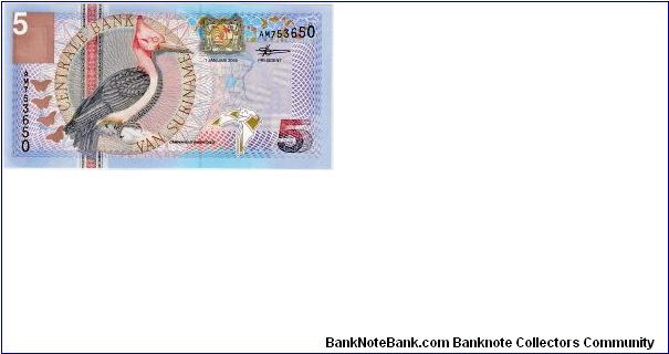 Suriname 5 Gulden Front Design: Campephilus Rubricollis (Bird) Banknote
