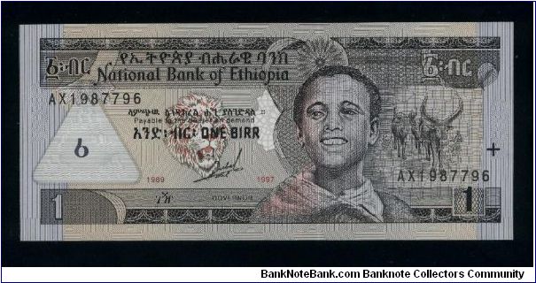 1 Birr.

Young man at center right, longhorns at right and latent image (map of ethiopia) with value at left on face; whited-throated bee-eaters and Tisisat waterfalls of Blue Nile on back.

Pick #46a Banknote