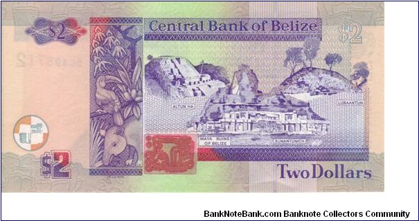 Banknote from Belize year 2005