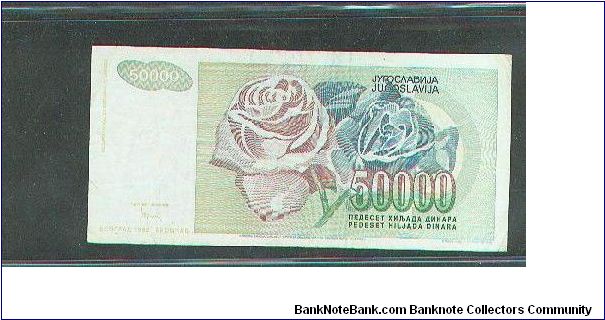 Banknote from Yugoslavia year 1992