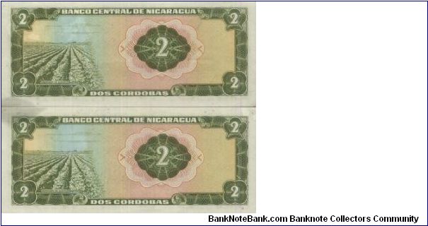 Banknote from Nicaragua year 1972