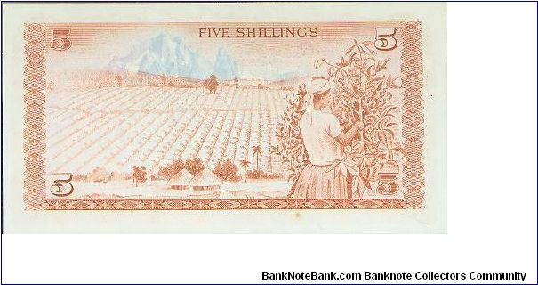 Banknote from Kenya year 1976