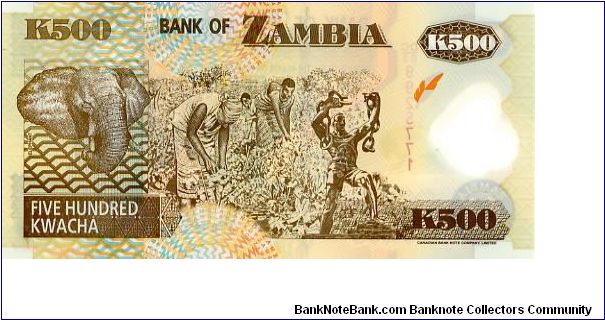 Zambia Polymer
500k 2004
Multi
Governor C  M Fundanga
Front Value above see through dove & Coat of Arms,Baobab tree, Fish Eagle
Rev Elephant, Cotton picking, Chain Breaking Statue Banknote
