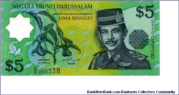 5R 1996 Polymer
Green
Sultans Signature Bolkiah
Front  Pitcher plant , Sultan Haji H B M Waddaulah
Rev Rainforest floor Banknote