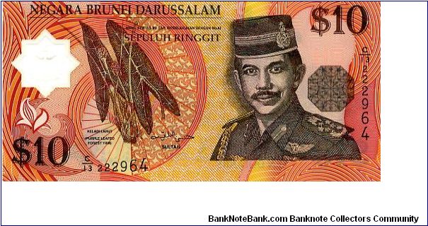 Brunei
10R 1998 Polymer(Reissue)
Reddish Brown
Sultans Signature Bolkiah
Front  Purple leafed forest yam , Sultan Haji H B M Waddaulah
Rev Rainforest Canopy Banknote