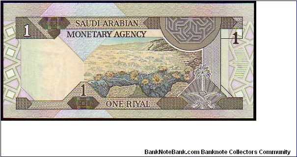 Banknote from Saudi Arabia year 1984