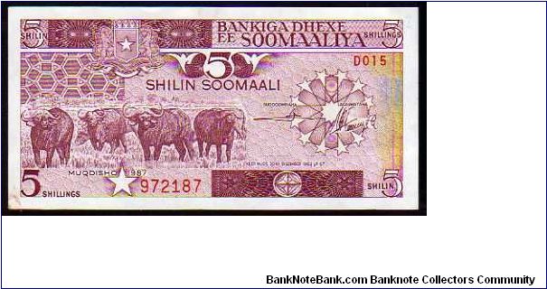 5 Shilin
Pk 31 Banknote
