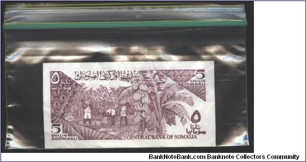 Banknote from Somalia year 1986