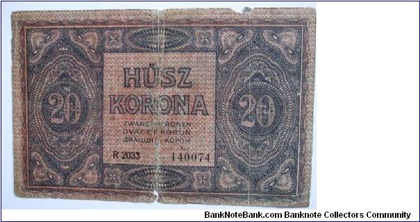 Banknote from Hungary year 1919