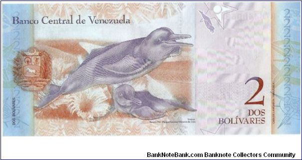 Banknote from Venezuela year 2007