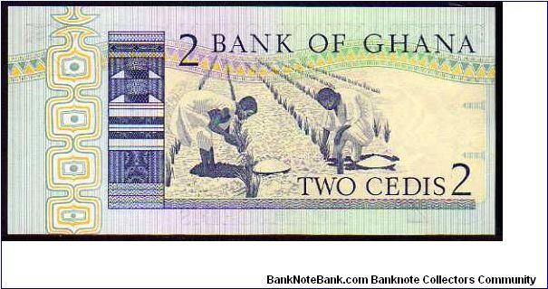 Banknote from Ghana year 1982