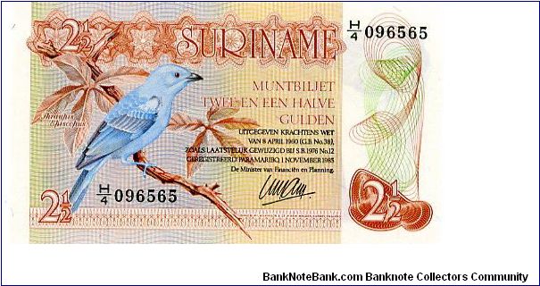 21/2 Gulden
Brown/Blue
Blue-gray Tanager-Thraupis Episcopus sitting on a branch
Green lizard & Afobaka Dam
Security thread Banknote