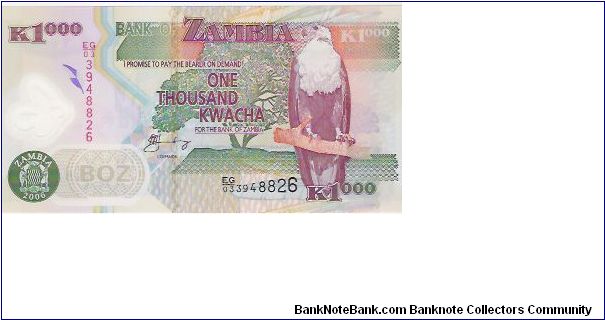 1000 KWACHA

EG/03  3948826 Banknote