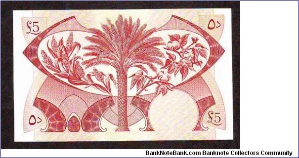 Banknote from Yemen year 1965