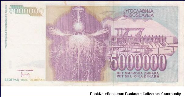 Banknote from Yugoslavia year 1993