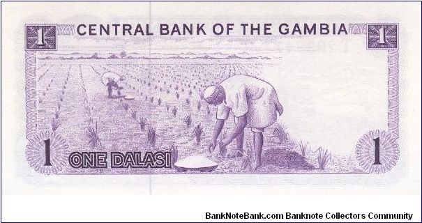 Banknote from Gambia year 1984
