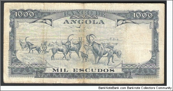 Banknote from Angola year 1962