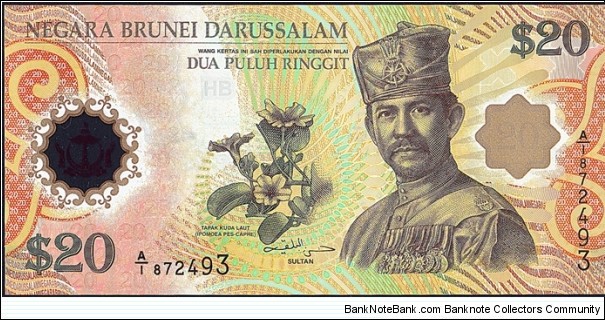 Brunei 2007 20 Dollars.

40 Years of the Bruneian-Singaporean Currency Interchangeability Agreement.

Very hard note to find! Banknote