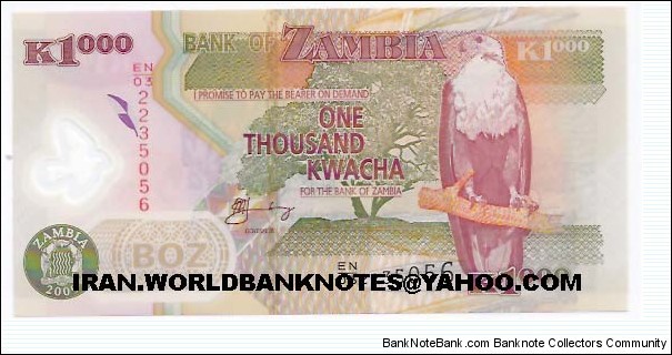 ZAMBIA (1000Kwatcha)(POLYMER) Banknote