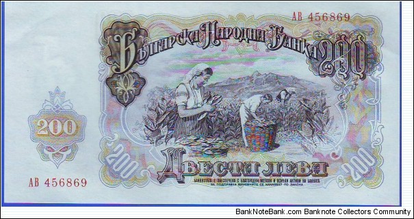 Banknote from Bulgaria year 1951