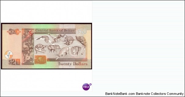 Banknote from Belize year 2008
